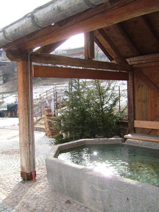 Alla Fontana Termale Carano  Esterno foto